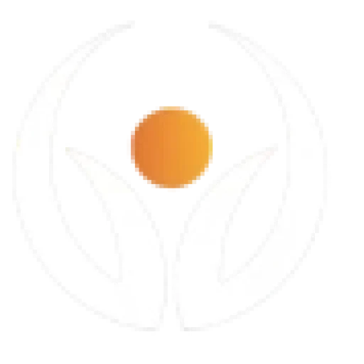 cropped-logo-1.webp