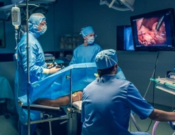 Minimally Invasive Laparoscopic Oncosurgery Body