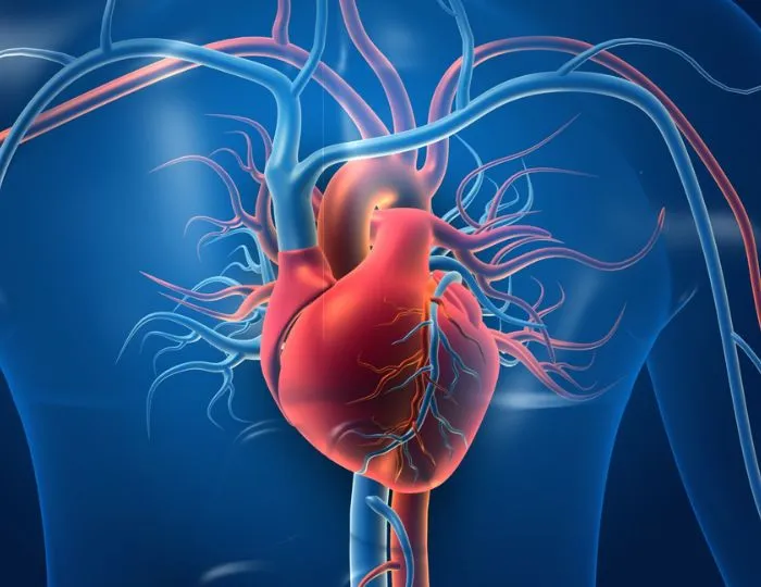 Coronary Artery Disease (CAD)