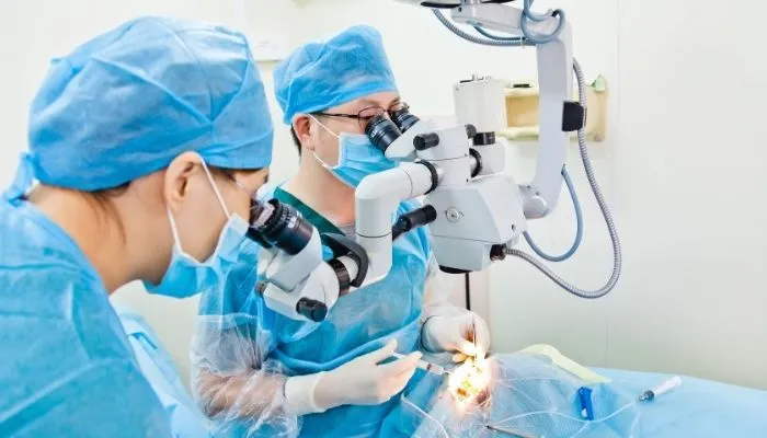 Robotic Urology Surgery